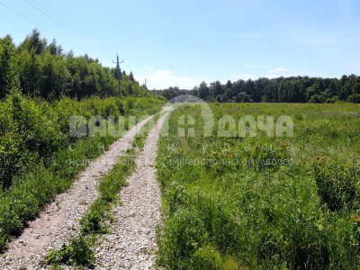 Пашково Эко Пашково Эко