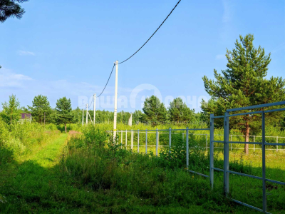 Пашково Эко Пашково Эко