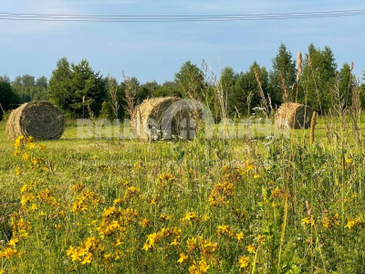 Пашково Эко Пашково Эко
