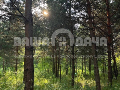 Пашково Эко Пашково Эко