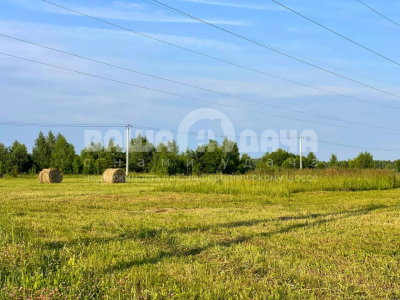 Пашково Эко Пашково Эко