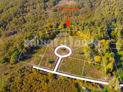 Пашково Эко Пашково Эко