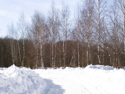 Горохово Эко