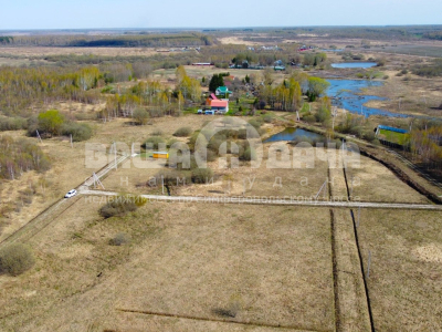 Горохово Эко