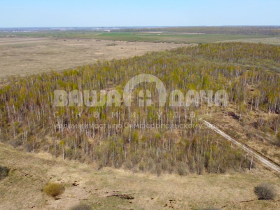 Горохово Эко