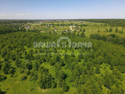 Домнино Эко