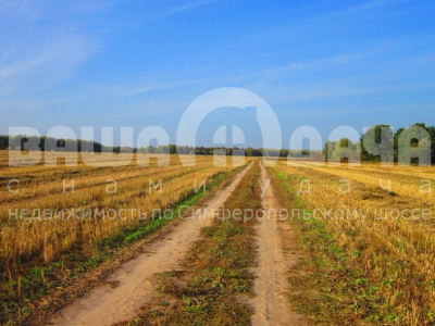 Домнино Эко