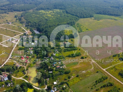 Домнино Эко