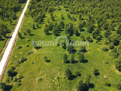 Домнино Эко