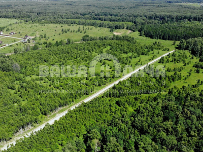 Домнино Эко