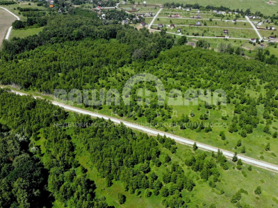 Домнино Эко