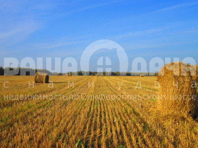 Домнино Эко