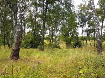 Земляничное Земляничное