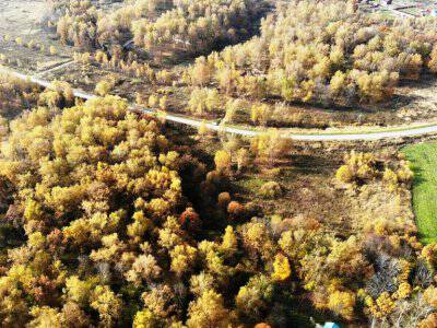 Земляничное Земляничное