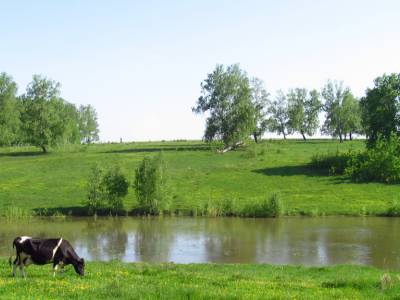 Земляничное Земляничное