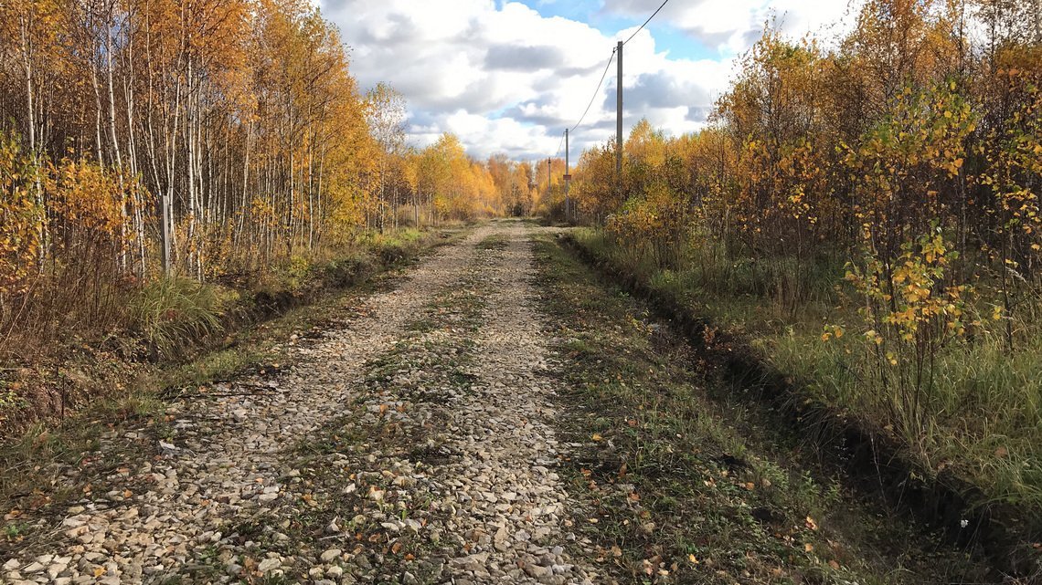 Дорога в деревню