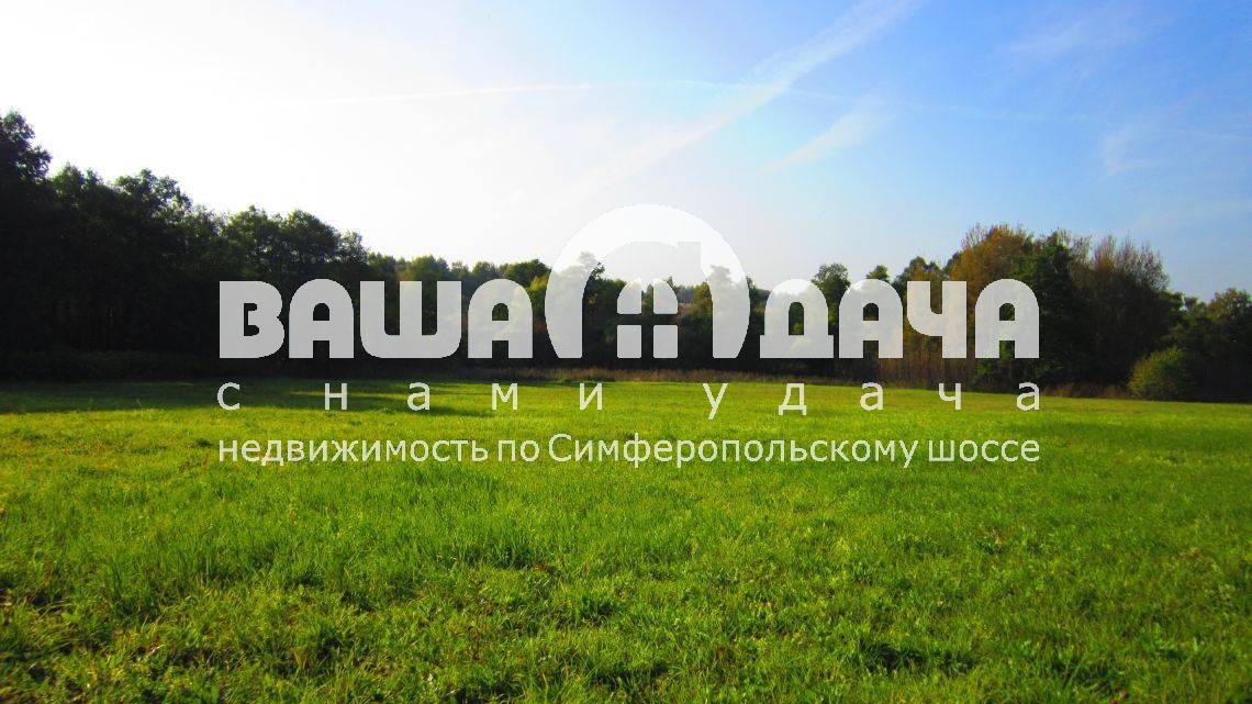 Красивый лес в поселке